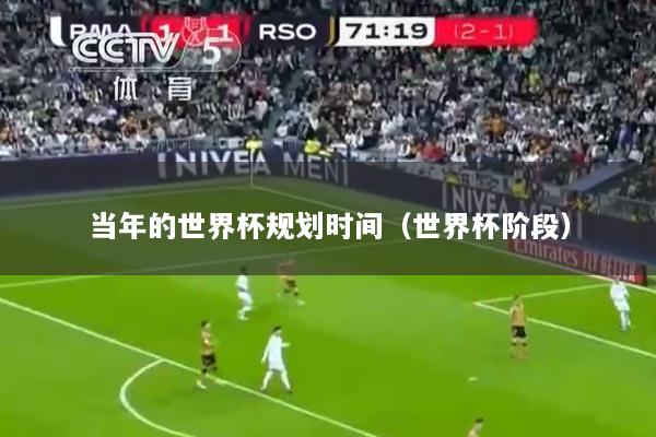 当年的世界杯规划时间（世界杯阶段）