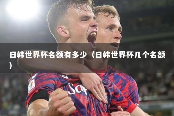 日韩世界杯名额有多少（日韩世界杯几个名额）