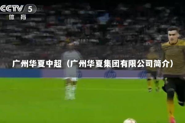 广州华夏中超（广州华夏集团有限公司简介）