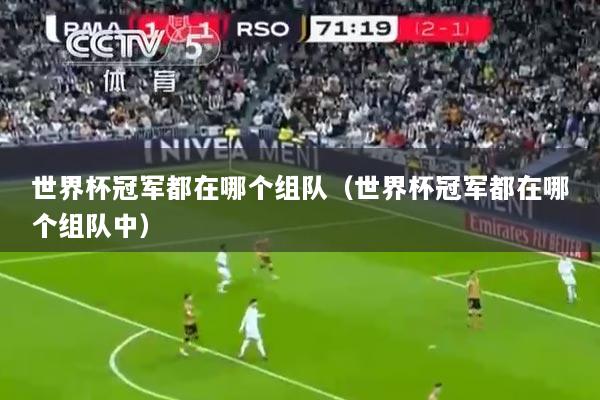 世界杯冠军都在哪个组队（世界杯冠军都在哪个组队中）
