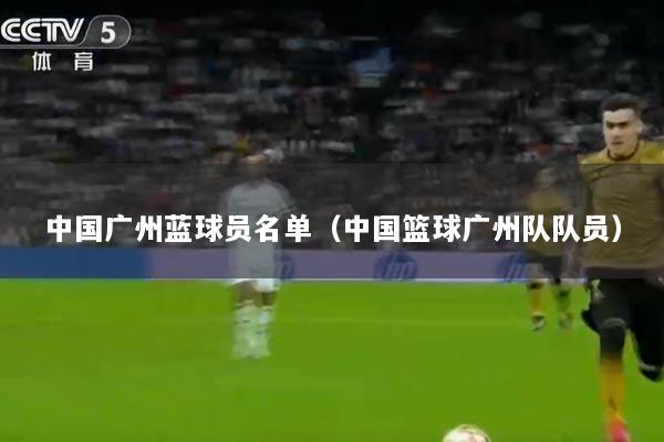 中国广州蓝球员名单（中国篮球广州队队员）