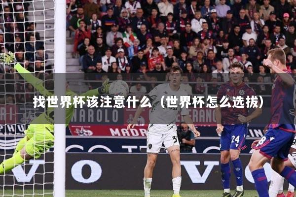 找世界杯该注意什么（世界杯怎么选拔）