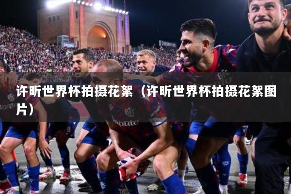 许昕世界杯拍摄花絮（许昕世界杯拍摄花絮图片）